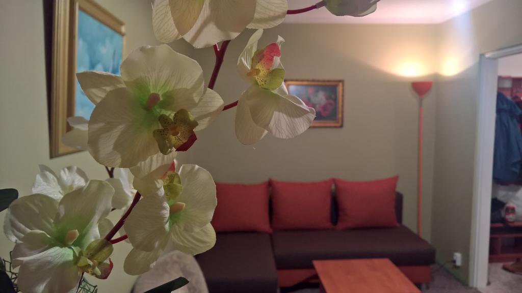 Apartament Konopnicka Augustów Extérieur photo
